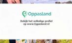 Lusin zoekt een oppas in Driebergen-Rijsenburg voor 2 kin...
