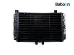 Radiateur Honda CB 500 1993-1996 (CB500 R-T), Verzenden, Gebruikt