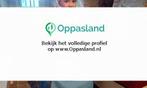 Marlies zoekt een oppas in Vught voor 1 kind op maandag,..., Vacatures, Vacatures | Schoonmaak en Facilitaire diensten