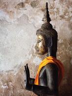 Boeddha zijkant 70x50cm Tuinschilderij - Customize-it, Nieuw, Verzenden