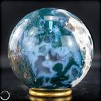 Mosagaatkraal met druse – Natuurlijke harmonie in volmaakte