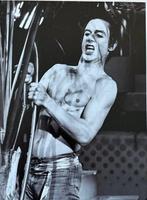 Govert de Roos - Iggy Pop