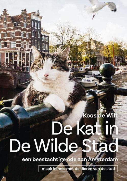 De kat in de wilde stad 9789047625094 Koos de Wilt, Boeken, Kinderboeken | Jeugd | onder 10 jaar, Zo goed als nieuw, Verzenden