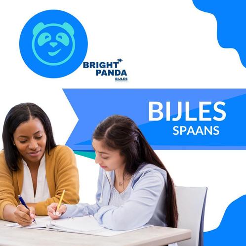 Spaans Bijles in Haarlem - Boek nu je proefles!, Diensten en Vakmensen, Bijles, Privé-les en Taalles, Bijles, Examen- of Scriptiebegeleiding