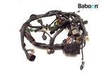 Kabelboom Suzuki SV 650 2007-2012 (SV650 SV650N SV650S), Verzenden, Gebruikt