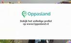 Bas zoekt een oppas in Goes voor 2 kinderen.