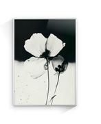 Jorge Omeñaca - Flowerink, Antiek en Kunst