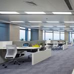 LED Paneel 30x60 - Velvalux Lumis - LED Paneel, Ophalen of Verzenden, Nieuw, Lamp met armatuur