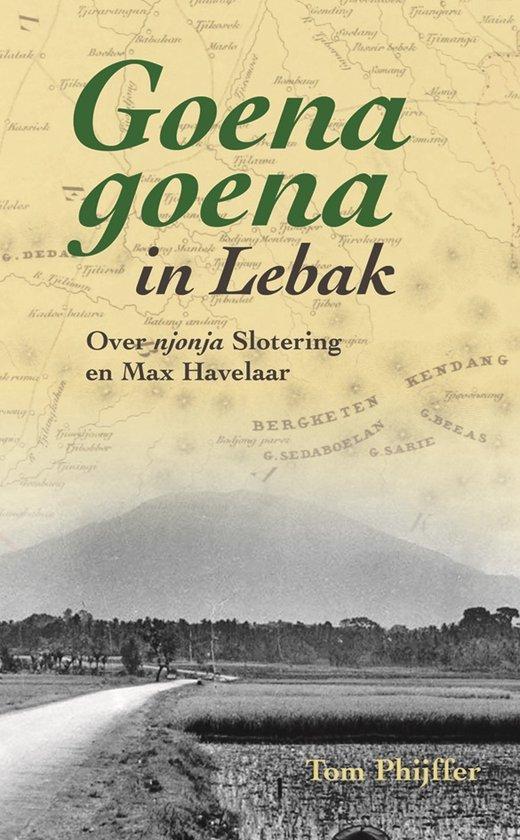 Goena Goena in Lebak 9789464551112 Tom Phffer, Boeken, Geschiedenis | Wereld, Gelezen, Verzenden