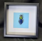 Extraordinary glass reproduction of an Asian ground beetle, Nieuw