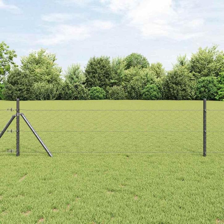 vidaXL Hexagon Hek Grijs 1.5 x 10 m Staal, Tuin en Terras, Schuttingen, Nieuw, IJzer, Verzenden
