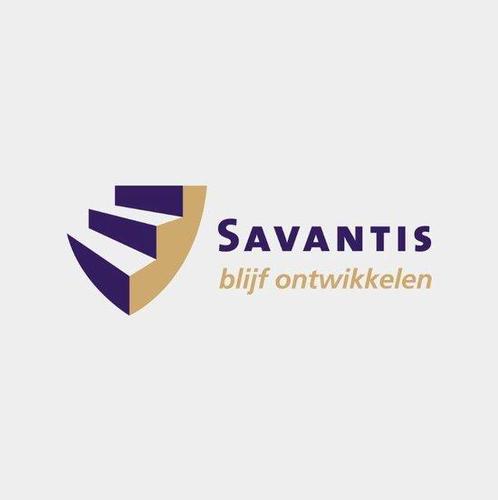 Schildertechnieken 9789492794062, Boeken, Techniek, Zo goed als nieuw, Verzenden