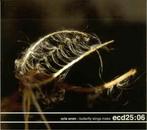 cd digi - Orla Wren - Butterfly Wings Make, Verzenden, Zo goed als nieuw