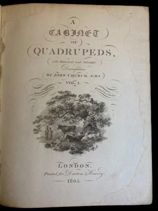 John Church / James Tookey / Julius Ibbetson - A Cabinet of, Antiek en Kunst, Antiek | Boeken en Bijbels