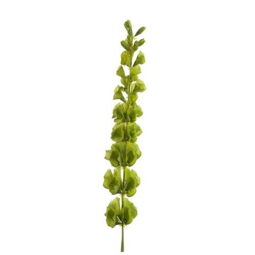 Kunstplant Molucella 80 cm groen - losse tak voor kunstblo.., Huis en Inrichting, Kamerplanten, Ophalen of Verzenden