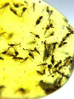 Barnsteen (Zonder minimumprijs)