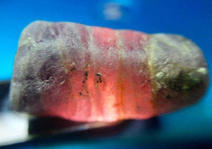 45,5 karaat - Zeldzame onbehandelde rozenkwarts Ruw- 9.1 g, Verzamelen, Mineralen en Fossielen