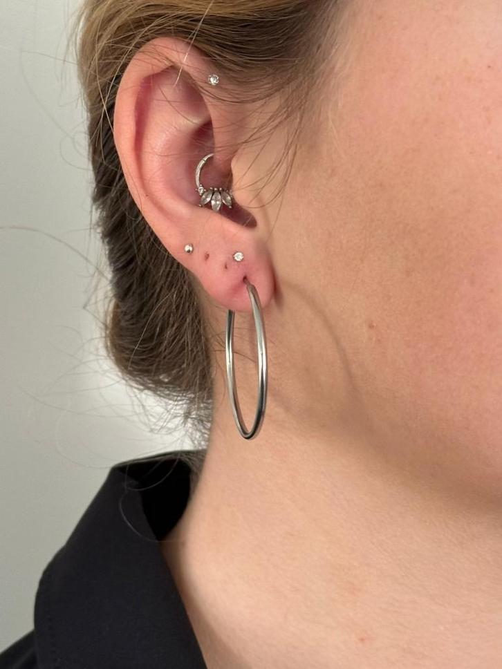 Zilveren grote oorringen 40-50-60 of 70 mm - stainless steel, Sieraden, Tassen en Uiterlijk, Oorbellen, Nieuw, Verzenden