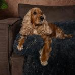 2dekans | By Cee Cee - Origineel Hondendeken Bank –, Dieren en Toebehoren, Ophalen of Verzenden, Zo goed als nieuw