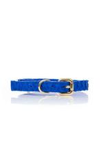 Luxe python leren hondenriem halsband Rocco blauw NIEUW, Ophalen of Verzenden, Nieuw, Hondenriem