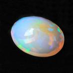 1 pcs Groen, Meerkleurig, Wit Opaal - 24.10 ct - Gemological, Nieuw