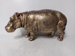 Beeld, hippopotamus (hippo) in gold bronze finish - 24 cm -, Antiek en Kunst, Curiosa en Brocante