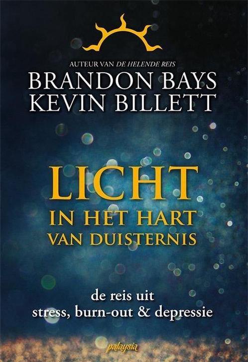 9789492412317 Licht in het hart van duisternis, Boeken, Studieboeken en Cursussen, Zo goed als nieuw, Verzenden