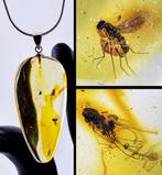 Zeldzame honing amberketting – dual fossiele vliegen –, Antiek en Kunst, Curiosa en Brocante