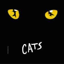 cd - Various - Theater Carre Presenteert Hoogtepunten Uit..., Cd's en Dvd's, Cd's | Overige Cd's, Zo goed als nieuw, Verzenden