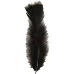 50x Sierveren paars hobby materiaal 17 cm - Decoratie veren, Verzenden, Nieuw