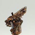 AEGIRINA, zwarte kristallen ingelijst in rokerige kwarts.