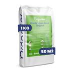 Schaduwgazon Graszaad – Elegant (1 kg voor 50 m2), Verzenden, Gehele jaar, Volle zon, Zaad