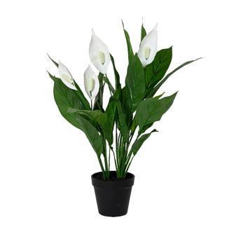Kunstplant Lepelplant | Decoris | 60 cm (In pot), Huis en Inrichting, Woonaccessoires | Kunstplanten en Kunstbloemen, Nieuw, Verzenden