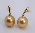 Oorbellen - 14 karaat Geel goud - 11x12mm Zuidzeeparels, Sieraden, Tassen en Uiterlijk, Oorbellen, Nieuw