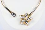 Zonder Minimumprijs - Choker halsketting Verguld, Zilver -