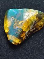 Amber - Barnsteen - Ambra del Baltico - 3.7 cm - 3.5 cm, Verzamelen, Nieuw
