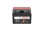 Bosch M6 017 Zwart Accu 11 Ah