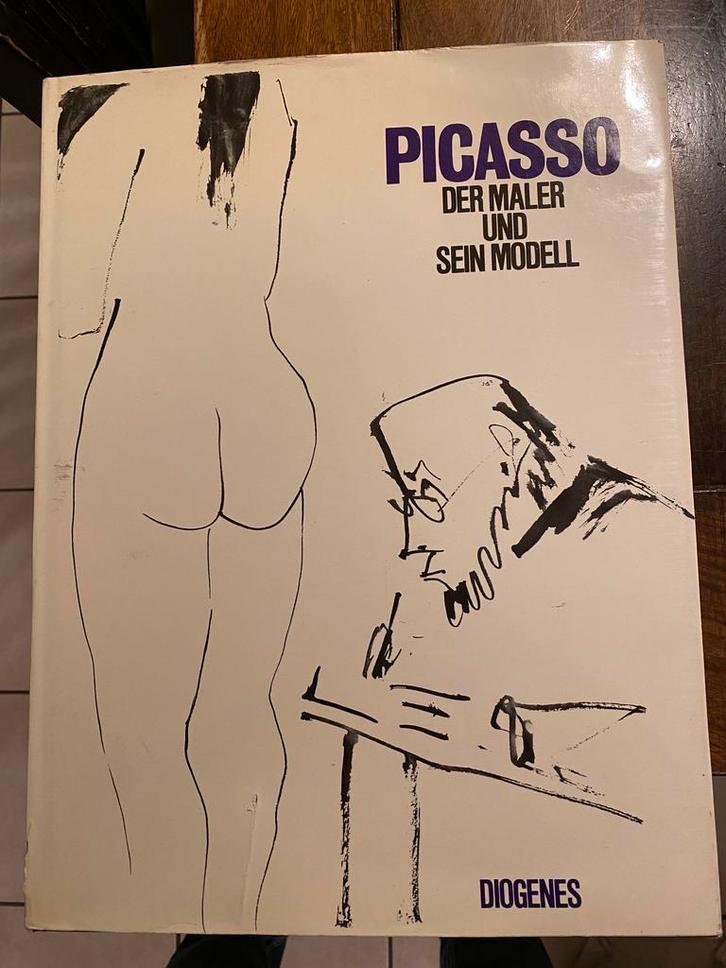 Picasso - De Schilder en zijn Model - DUITS - Erotiek, Boeken, Kunst en Cultuur | Beeldend, Gelezen, Schilder- en Tekenkunst, Ophalen of Verzenden