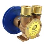 Impellerpump Cummins N855M, NT855M, NTA855M koelwaterpomp, Watersport en Boten, Ophalen of Verzenden, Nieuw, Motor en Techniek