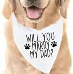 Heel veel verschillende honden bandanas!, Verzenden, Nieuw