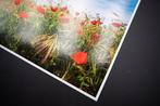 Viet Ha Tran - Poppy field I, Antiek en Kunst