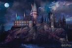 Poster Harry Potter - Hogwarts 91,5x61cm, Verzenden, Nieuw, A1 t/m A3
