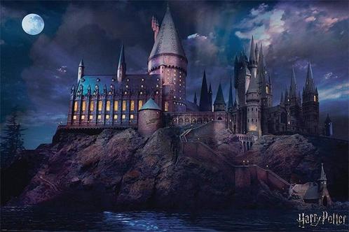 Poster Harry Potter - Hogwarts 91,5x61cm, Verzamelen, Posters, Nieuw, A1 t/m A3, Verzenden