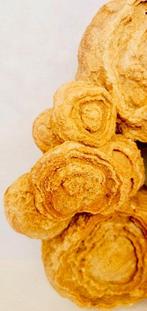 Stromatolithe - Fossiel skelet - 30 cm - 18 cm, Verzamelen, Mineralen en Fossielen