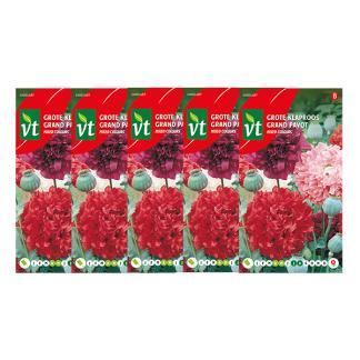 Klaprooszaad | VT | 5 stuks (Groot), Tuin en Terras, Bloembollen en Zaden, Verzenden