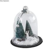 Dennenboompjes besneeuwd succulent gesorteerd 9+12 cm 4, Hobby en Vrije tijd, Knutselen, Ophalen of Verzenden, Nieuw