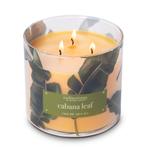 Colonial Candle - Travel Collection Tropical - Cabana Leaf, Verzenden, Nieuw