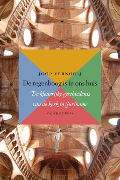 De regenboog is in ons huis | 9789056253721 | Joop Vernooij, Boeken, Wetenschap, Zo goed als nieuw