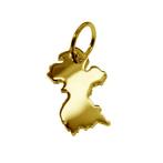 Gouden Landkaart Frans Guyana ketting hanger, Verzenden, Nieuw