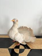 Steiff - Speelgoed Duif Steiff wit - 1960-1970 - Duitsland